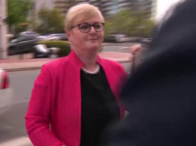 Senator Linda Reynolds is also suing Ms Higgins’ partner David Sharaz over a series of tweets the senator claims were defamatory. Picture: Sky News