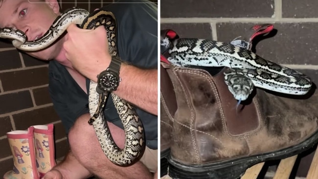 Robert Irwin found a snake in his work boots earlier this week. Picture: TikTok