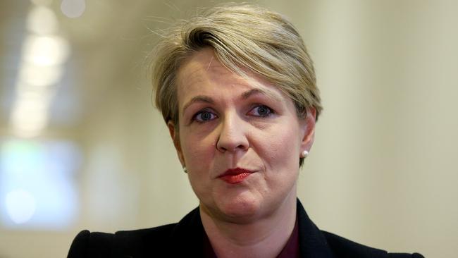 Tanya Plibersek. Picture: Kym Smith