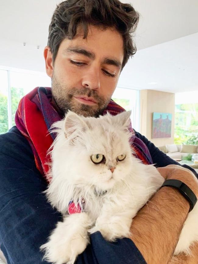 Entourage star Adrian Grenier with his Melbourne feline friend.