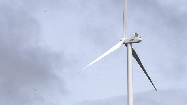 Granville Harbour Wind Farm. Picture Chris Kidd