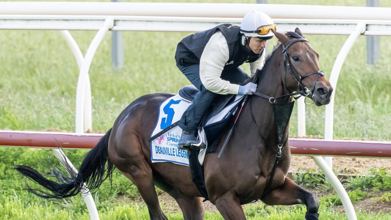 Kerrin McEvoy and Deauville Legend is the combination to beat in Tuesday’s Melbourne Cup. Picture: Jay Town–Racing Photos via Getty Images