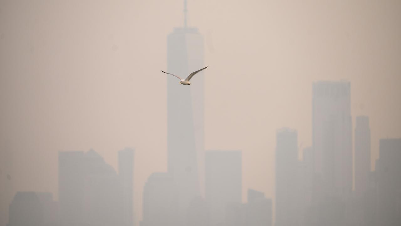 A seagull flies before the lower Manhattan skyline during heavy smog. (Photo by Ed JONES / AFP)