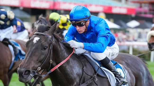 Pericles ridden by Blake Shinn wins the Rexel Electrical Supplies So You Think Stakes at Moonee Valley Racecourse on September 07, 2024 in Moonee Ponds, Australia. (Photo by Scott Barbour/Racing Photos via Getty Images)