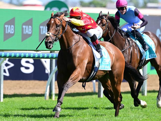 King Of Sparta wins on the Gold Coast for the third year in a row under jockey James McDonald. Picture: Grant Peters - Trackside Photography.