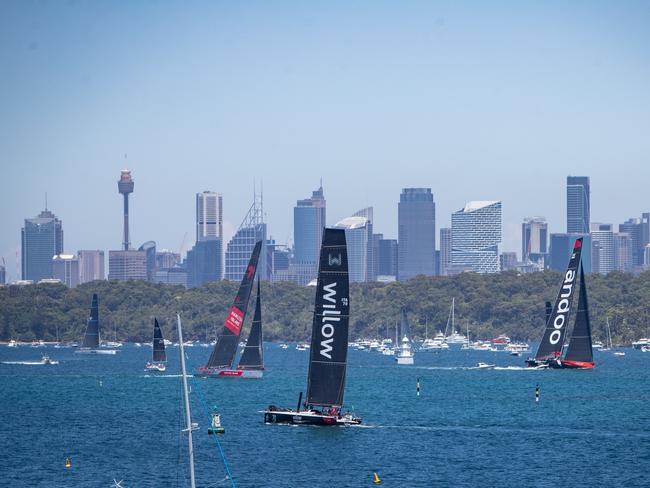 Andoo Comanche was out in front as racers passed Wollongong. Picture: Julian Andrews