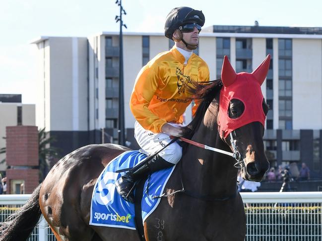 Flying Crazy on the way to the barriers prior to the running of  the Sportsbet Bel Esprit Stakes at Caulfield Racecourse on March 16, 2024 in Caulfield, Australia. (Photo by Brett Holburt/Racing Photos via Getty Images)