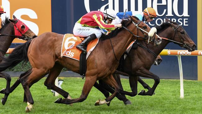 There’s a fair bit of history against Duais making it a Coongy/Cup double. Picture: Reg Ryan–Racing Photos via Getty Images