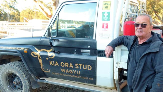 Out of the box thinker: Kia Ora Stud owner Noel Jones gained many ideas after visiting Japan. Picture: Sarah Hudson