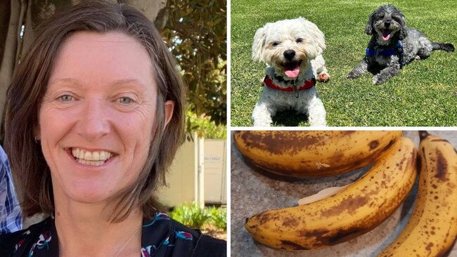 Forget running meets, quiz nights and book clubs, doing nothing is now an acceptable pastime, and these women are embracing it with flair. Picture: Supplied