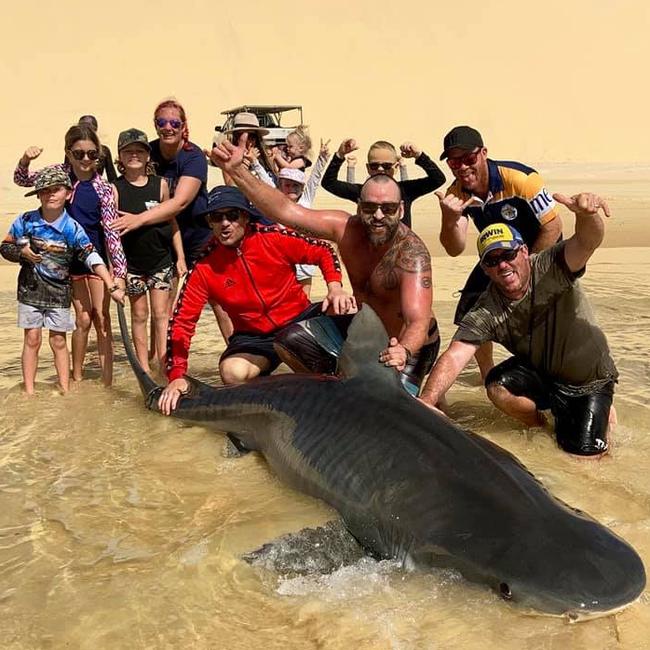 The 3m tiger shark caught by Mr Heathwood and his family.