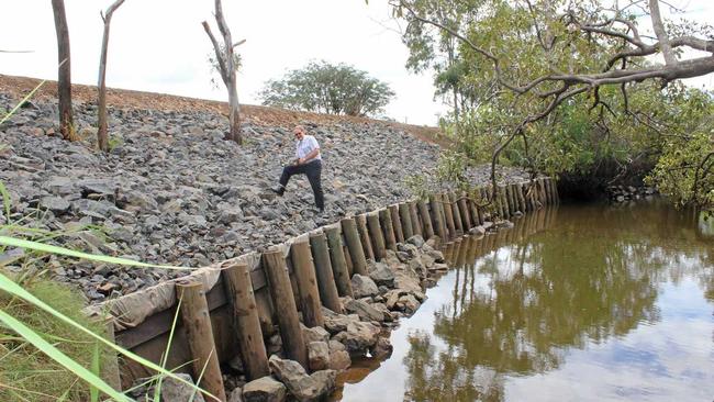 Bundaberg Regional Council Project Manager Warren Paulger examines the finished stabilisation work on the levee bank backing on to Bundaberg Creek at Kendall Flat. The area was significantly eroded in flood events. Picture: Contributed