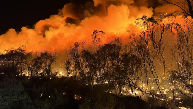 There’s fears El Nino could spark another summer of fires.