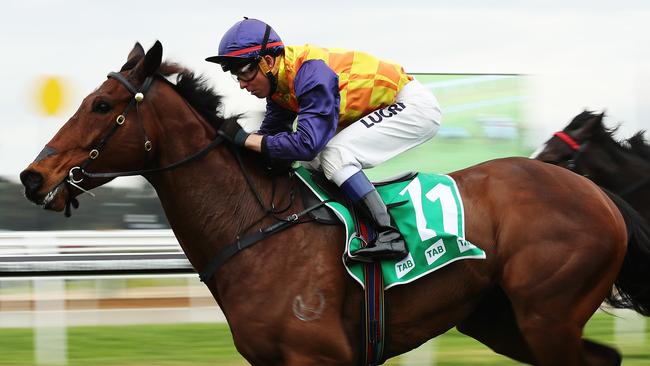 Dubbo races, tips; Moruya races, tips; Brad Davidson best bets, tips ...