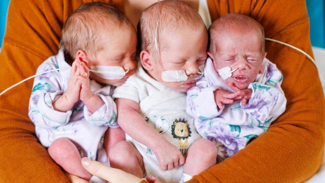 Lilliana, Robert and Primrose Holcroft. Picture: Josh Woning