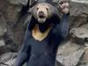 New video emerges of ‘human bear’