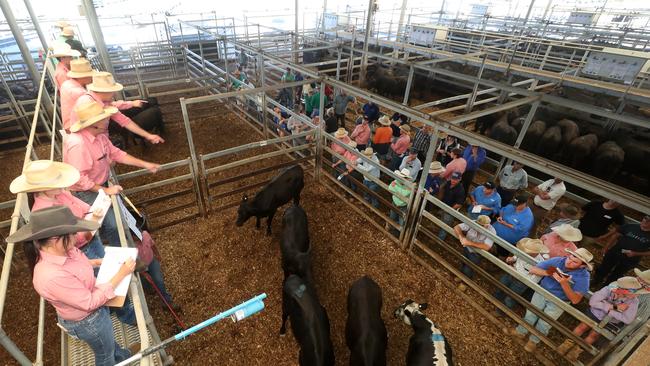 Agents in action at Wodonga. Picture: Yuri Kouzmin