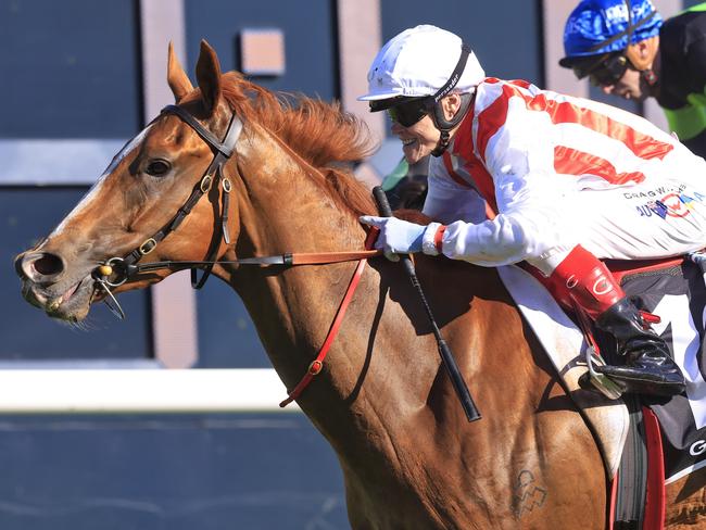 Jockey Craig Williams on Giga Kick takes at the 2022 TAB Everest. Picture: Mark Evans/Getty Images