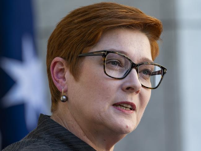 Marise Payne has offered support to Indonesia over the ‘distressing’ disappearance. Picture: NCA NewsWire / Martin Ollman