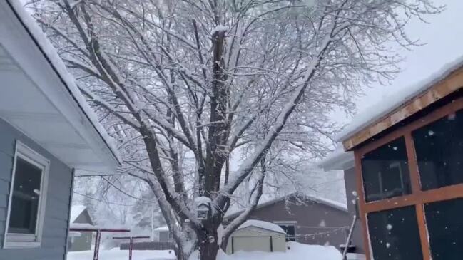 ‘Like a Snow Globe’: Heavy Snow Falls Over Northwest Wisconsin Amid Winter Storm Warning