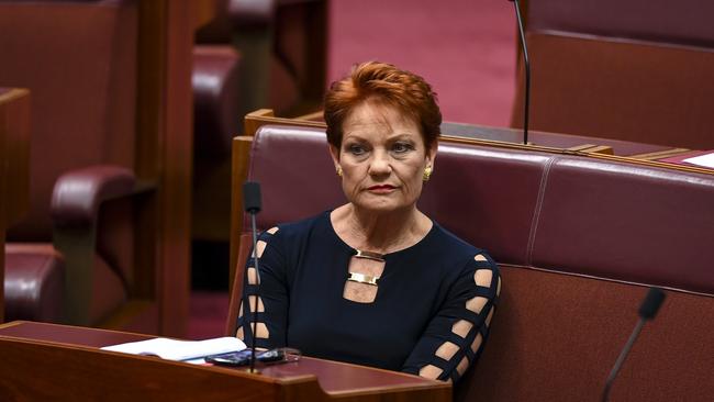 One Nation Leader Pauline Hanson reacts during debate in the Senate chamber at Parliament House in Canberra, Wednesday, February 13, 2019. (AAP Image/Lukas Coch) NO ARCHIVING