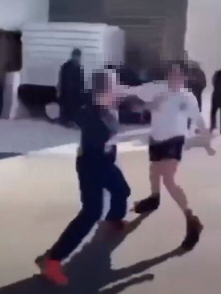 The Daily Telegraph has uncovered hundreds of fight videos involving NSW schoolkids.