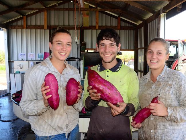 Seasonal workers from Europe. Picture: CAMERON BATES