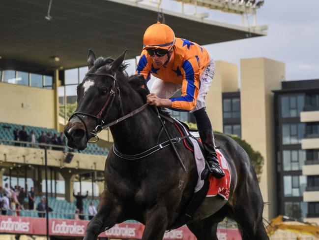 MELBOURNE, AUSTRALIA - SEPTEMBER 09: Michael Dee riding Imperatriz defeats Rothfire and Giga Kick in Race 8, the Mittys Mcewen Stakes, during Melbourne Racing at Moonee Valley Racecourse on September 09, 2023 in Melbourne, Australia. (Photo by Vince Caligiuri/Getty Images)