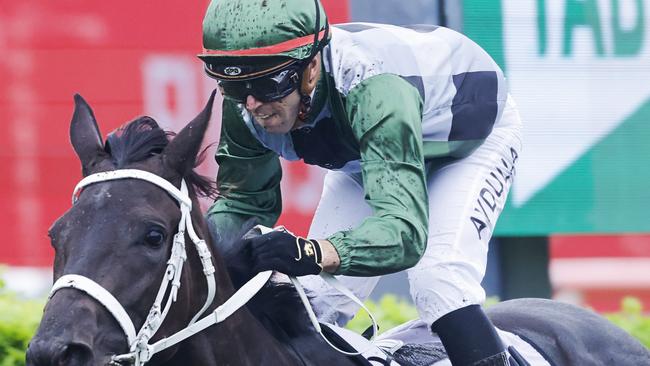 Brenton Avdulla rides Valentina Express for Team Hawkes at Gosford. Picture: Getty Images