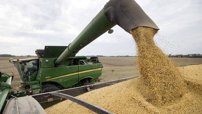 Beijing is waiving tariff increases on US soybeans while the two sides negotiate a trade deal Picture: AP