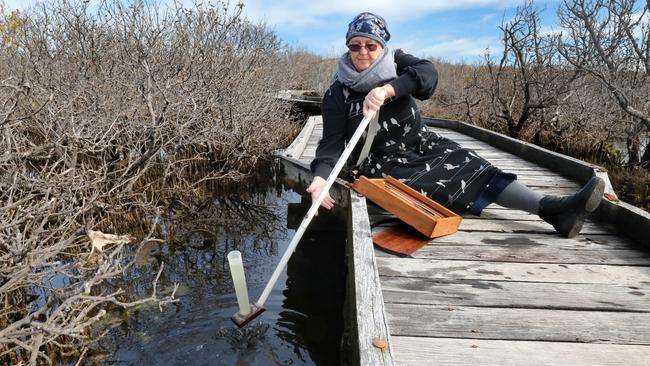 St Kilda resident and independent scientist Peri Coleman of Delta Environmental Consulting testing the water next to the St Kilda Mangroves Boardwalk trail. Picture: Dean Martin