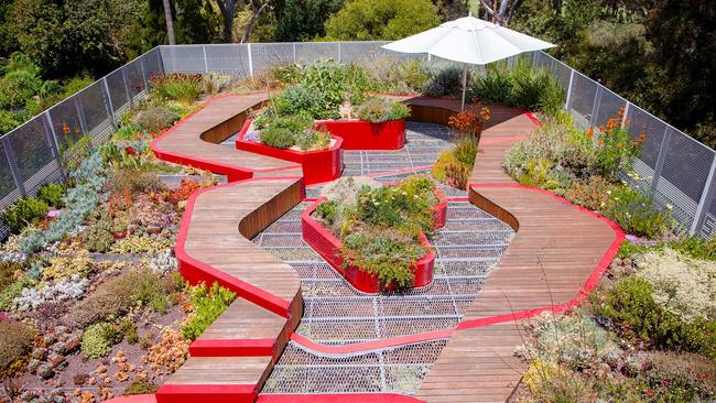 The University of Melbourne has set up rooftop gardening trials at their Burnley campus. Photos: University of Melbourne