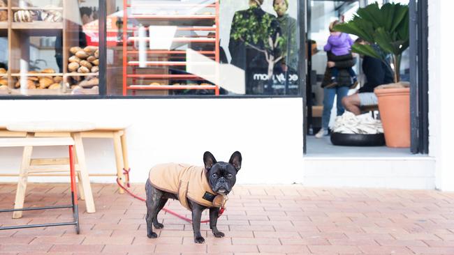 Berkelo has launched a second outpost in Mosman.