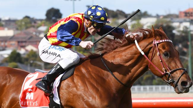 Nature Strip is very fast on his day. Picture: Getty Images