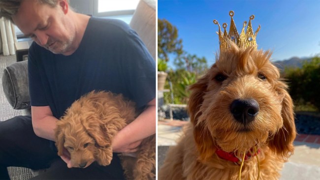 It's been reported that Lisa Kudrow will adopt Matthew Perry's dog Alfred. Photo: Instagram 