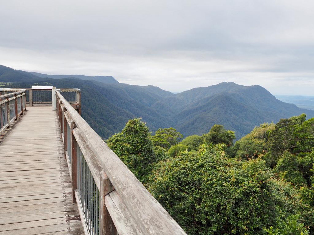 Bellingen and Dorrigo: Best NSW country towns to visit | escape.com.au