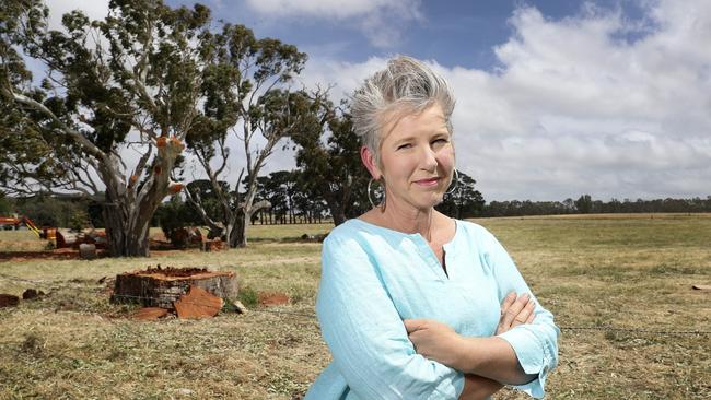 Gardening guru and <i>Sunday Mail </i>columnist Sophie Thomson has long been a strong advocate of trees. Picture: Sarah Reed