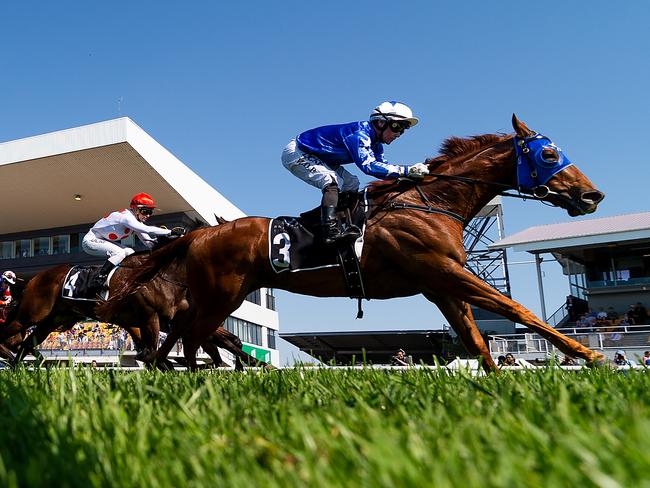 Mark Du Plessis rides Meet Mr Taylor to victory in the Open Handicap.