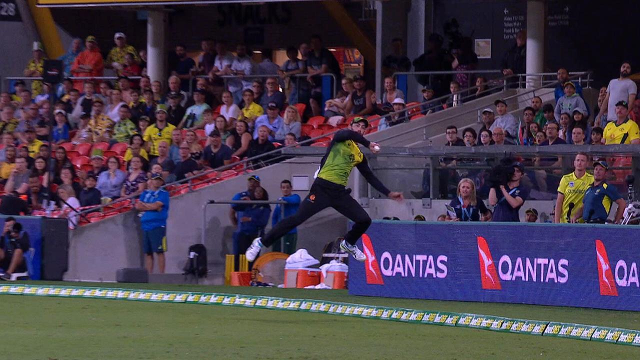Glenn Maxwell took a stunning catch in the deep to remove Faf du Plessis.