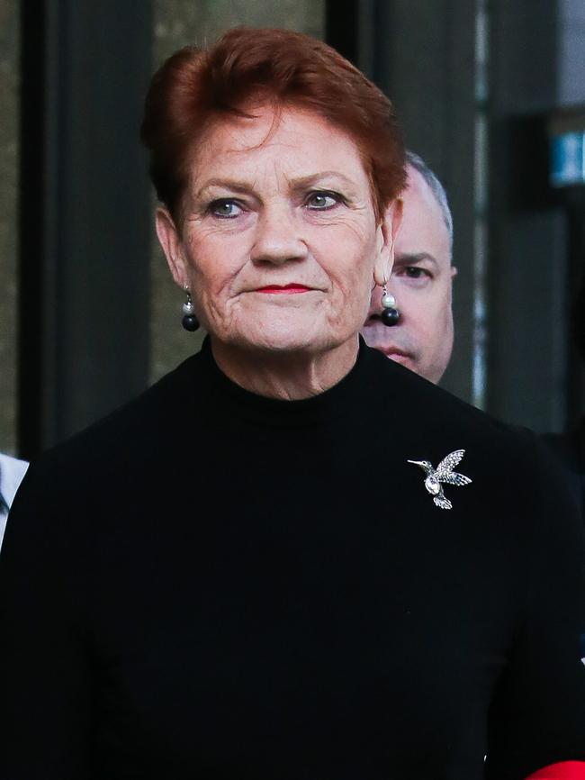 Pauline Hanson outside the Supreme Court in Sydney. Picture: Newswire / Gaye Gerard