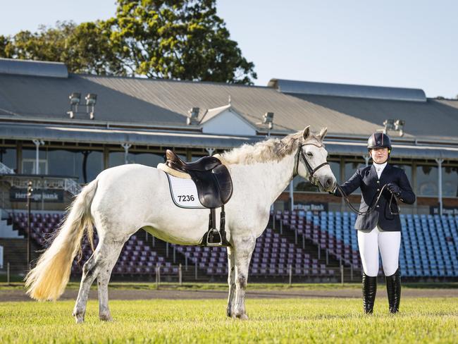 $12m windfall: Why city can’t let ‘world-class’ Olympic equestrian venue slip