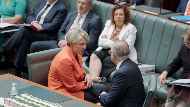 Prime Minister Anthony Albanese and Environment Minister Tanya Plibersek talk during Question Time in Parliament House last week. Picture: David Beach/NewsWire