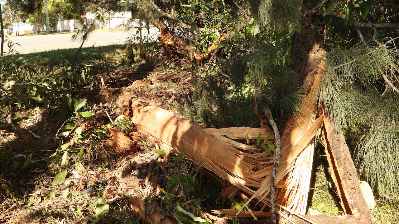 Damaged fence and broken trees at the site where Karen Williams crashed her car. Picture: Liam Kidston.