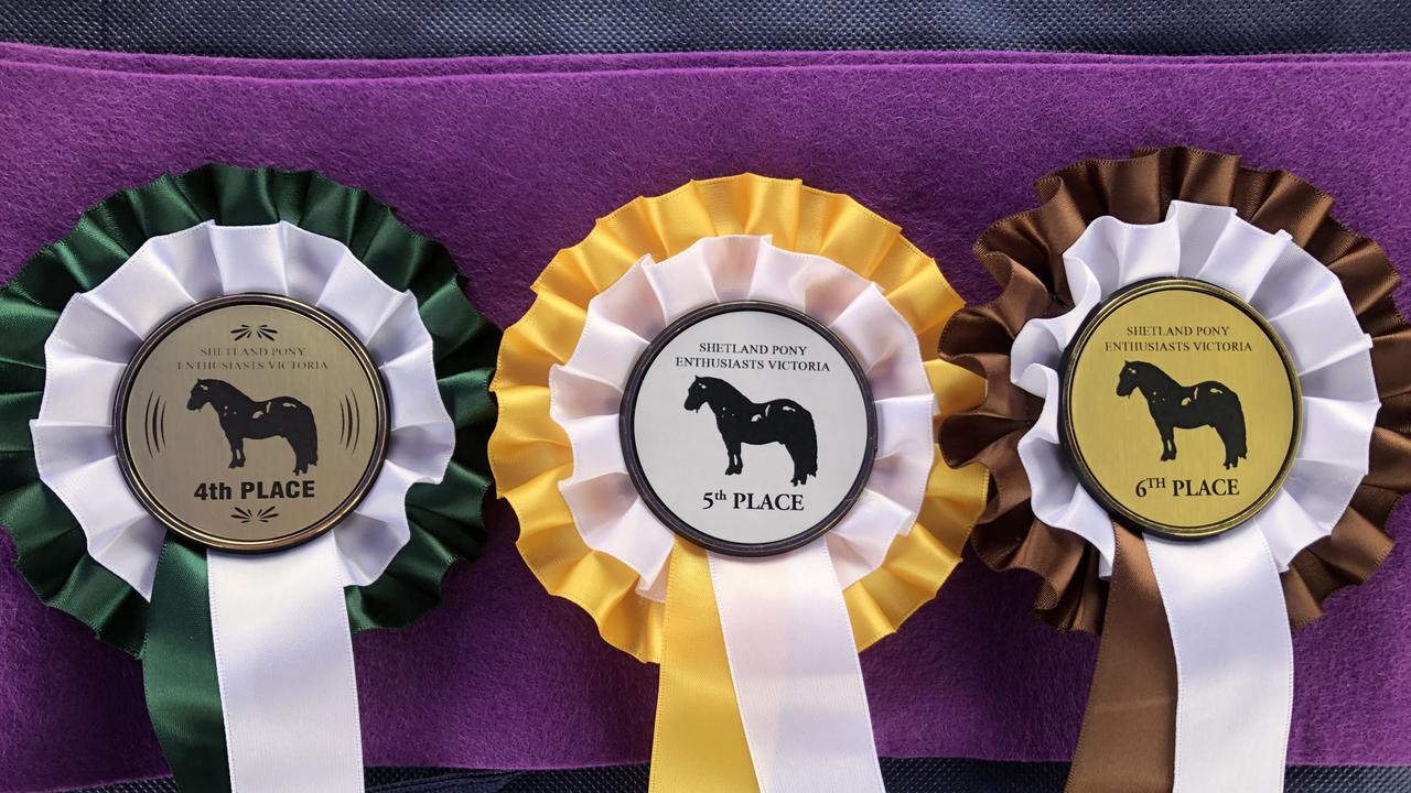 Prize ribbons at the Victorian All Shetland Show.