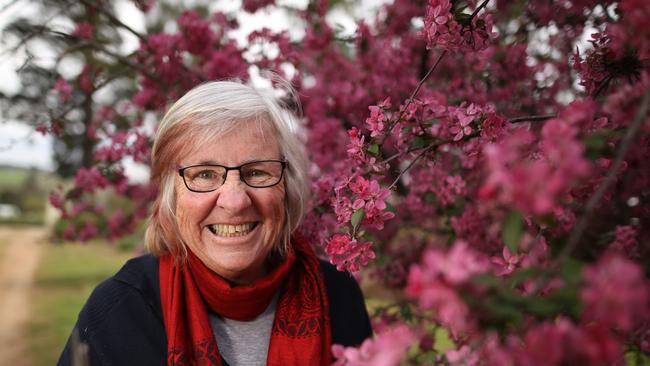 Virginia Heywood’s garden is part of the Secret Gardens of the Dandenong Ranges tour. Picture: Stuart Milligan