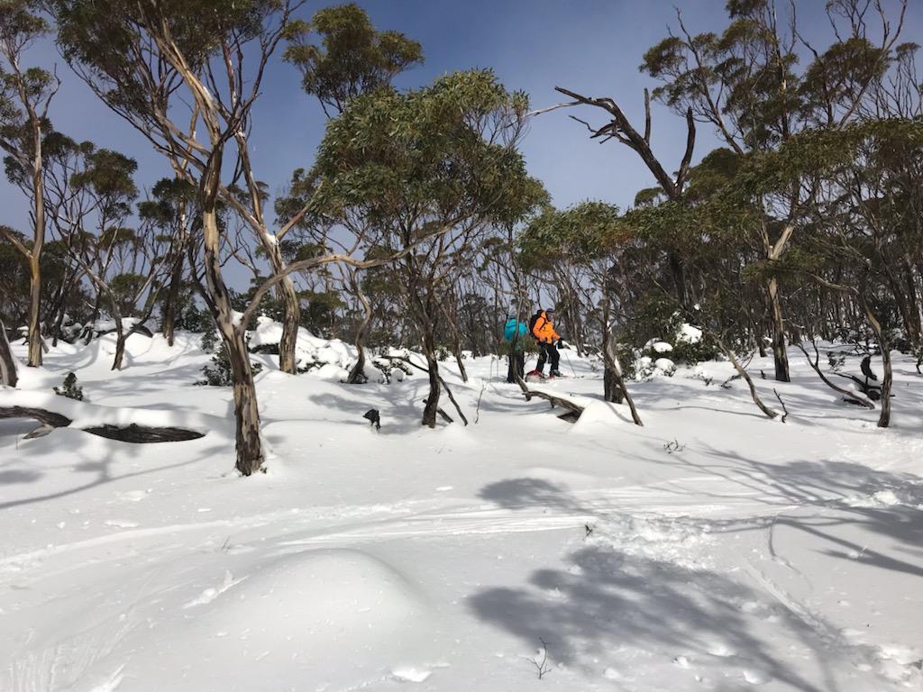 Andy Townsend and Mischi Sigrist at the Snow Gum Glades, Mt Mawson.