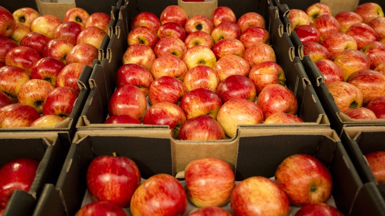 Are apples grown in your own state better for you than ones that have travelled?