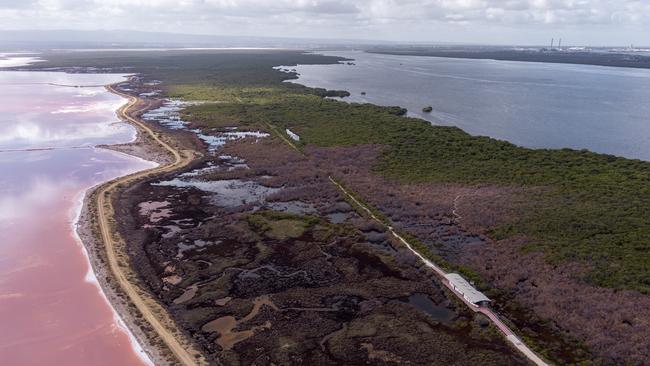 Drone footage of dead and dying mangroves and saltmarsh at St Kilda, where super salty water can be seen in evaporation ponds and some brine is crystallising to white salt. Picture: Alex Mausolf