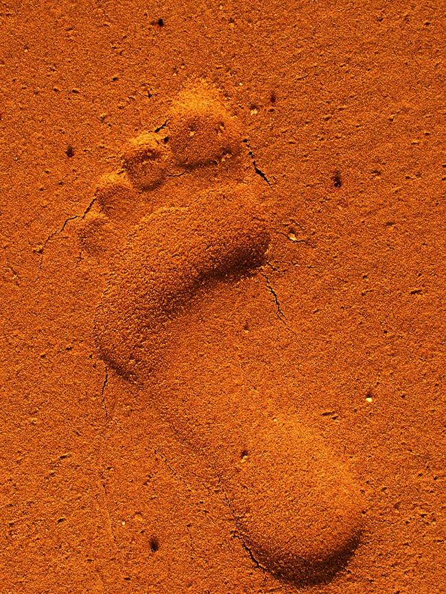 They can uncover vital clues seemingly out of nowhere and identify offenders from a footprint left in the dust.