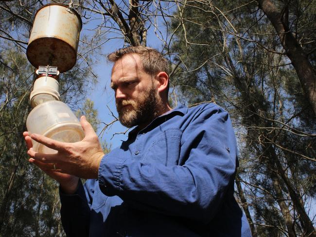 Dr Cameron Webb collecting mosquitoes along the Parramatta River.